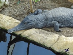 Haus des Meeres 13.03.2026